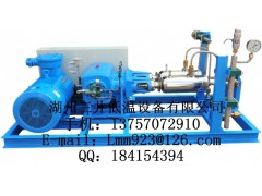 L-CNG低温高压泵(液化天然气泵)